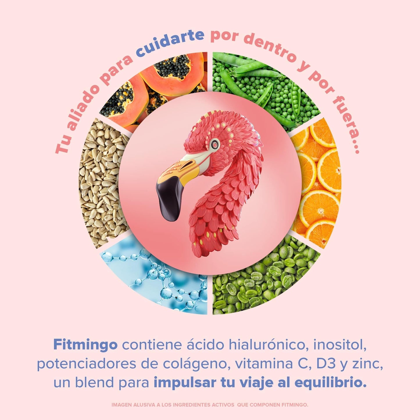 Birdman Fitmingo: Proteína Vegana con Fit, Beauty y Balance Blends. Con Ácido Hialurónico, Inositol, Potenciadores de Colágeno, Vitamina C, Vitamina D3, Zinc, Enzimas Digestivas y Svetol. Sabor Moka 1.02kg