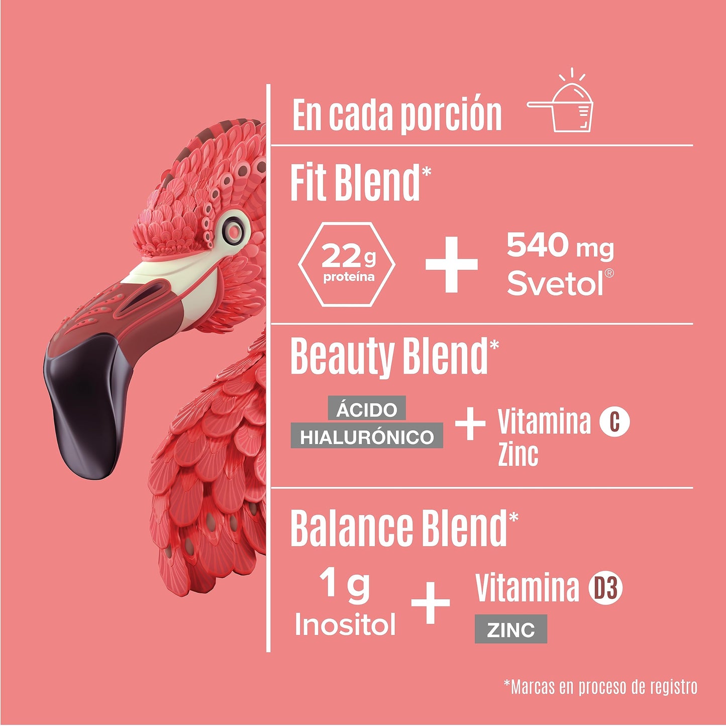 Birdman Fitmingo: Proteína Vegana con Fit, Beauty y Balance Blends. Con Ácido Hialurónico, Inositol, Potenciadores de Colágeno, Vitamina C, Vitamina D3, Zinc, Enzimas Digestivas y Svetol. Sabor Moka 1.02kg